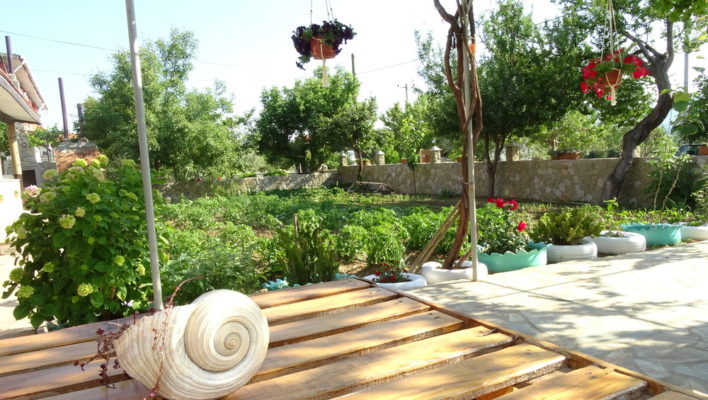 DSC04530JPG