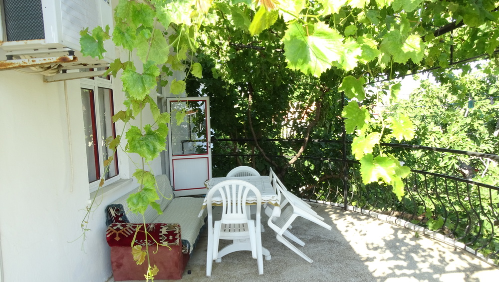 DSC05552JPG