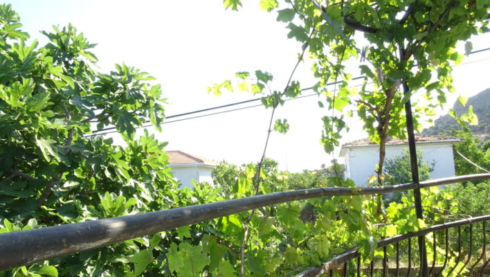 DSC05553JPG