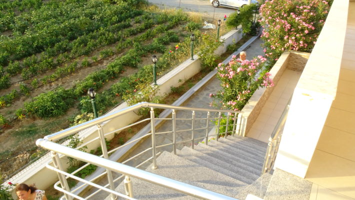 DSC06168