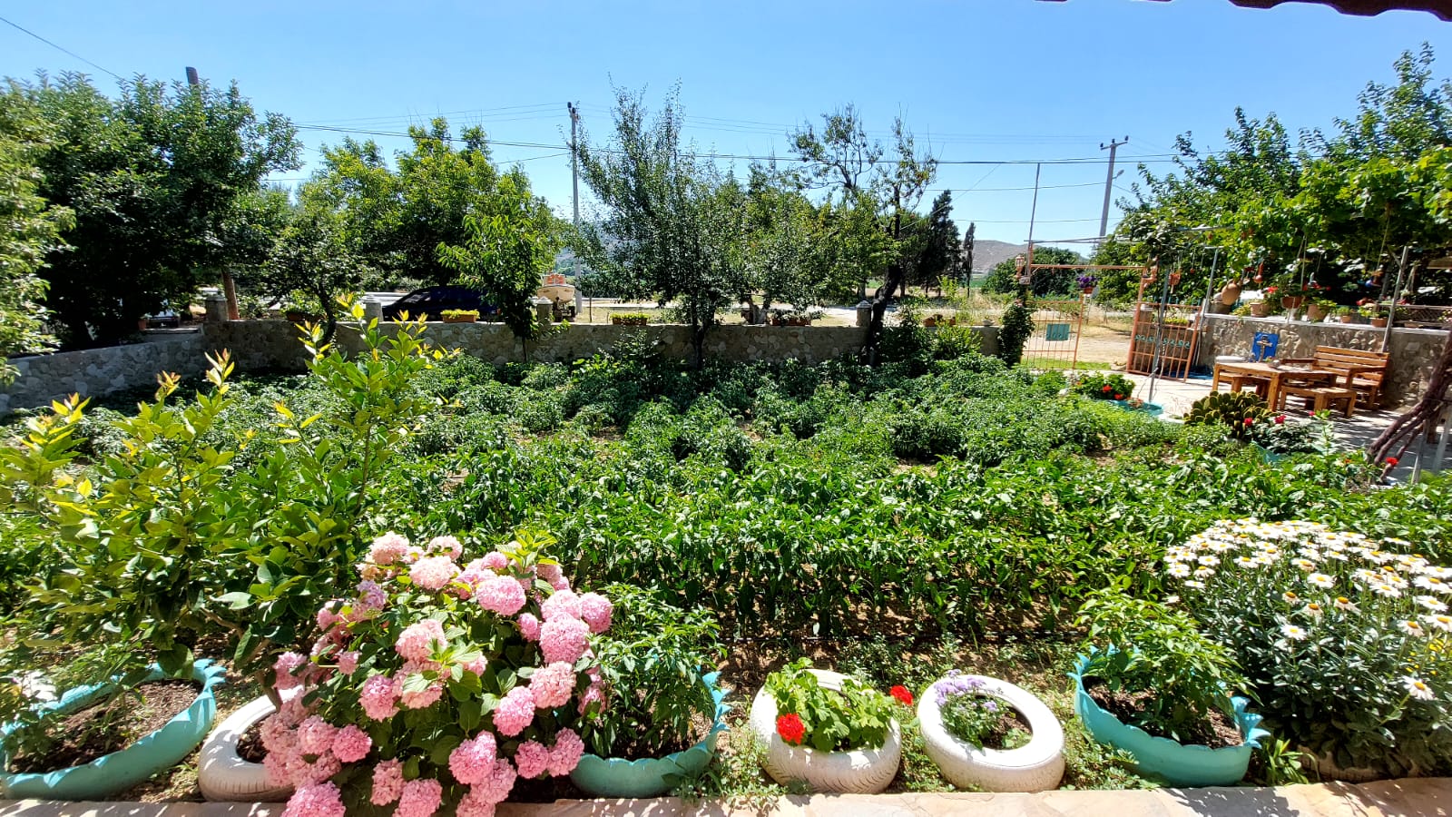IMG-20220720-WA0013