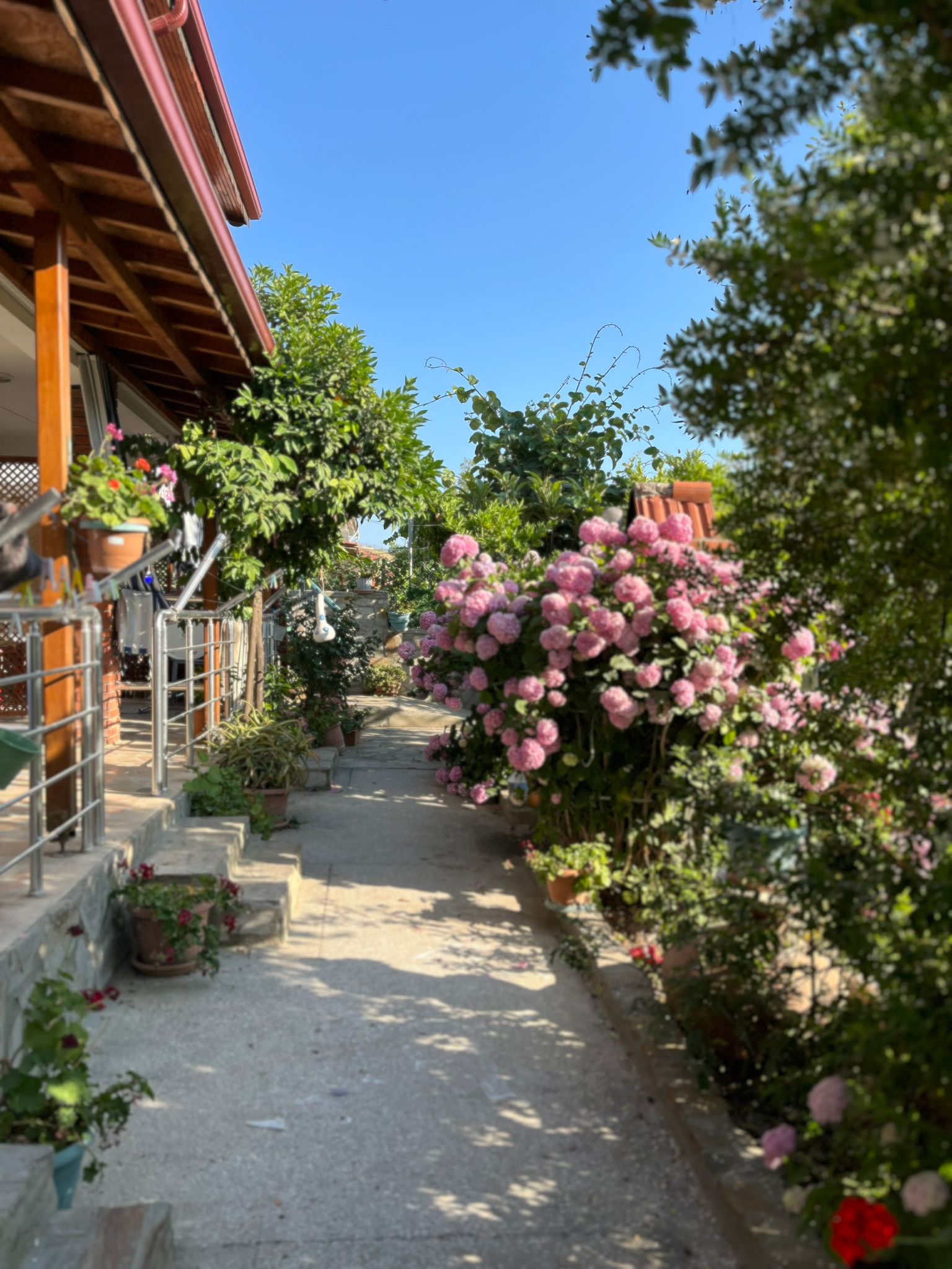 AYIŞIĞI PANSİYON