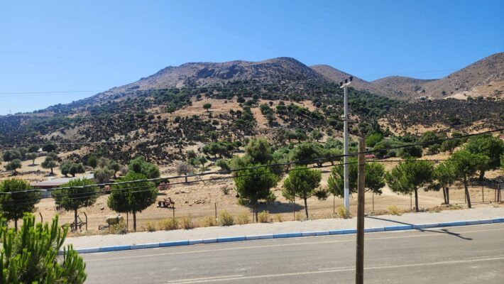 IMG-20250625-WA0006