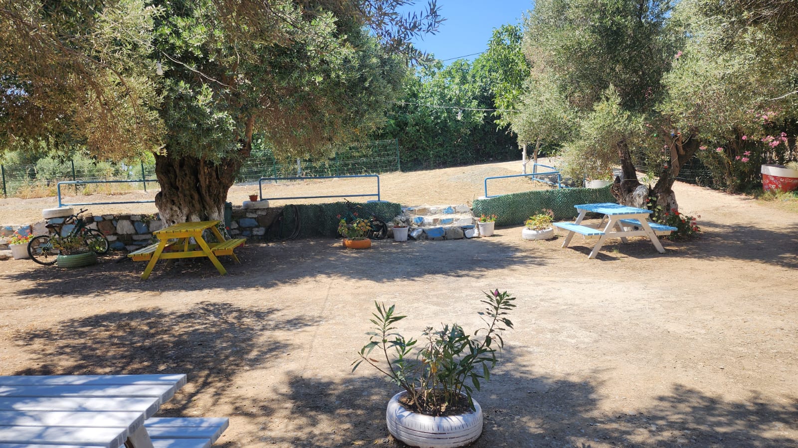 IMG-20250704-WA0009