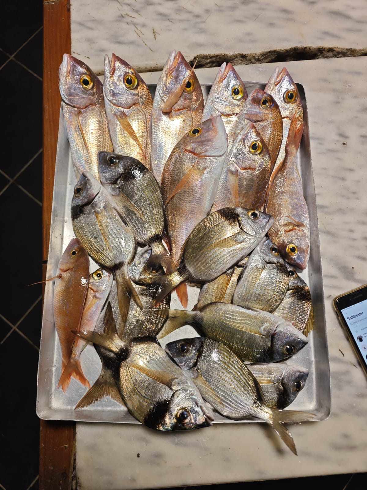 WhatsApp Image 2026-06-25 at 23.15.50 (1)