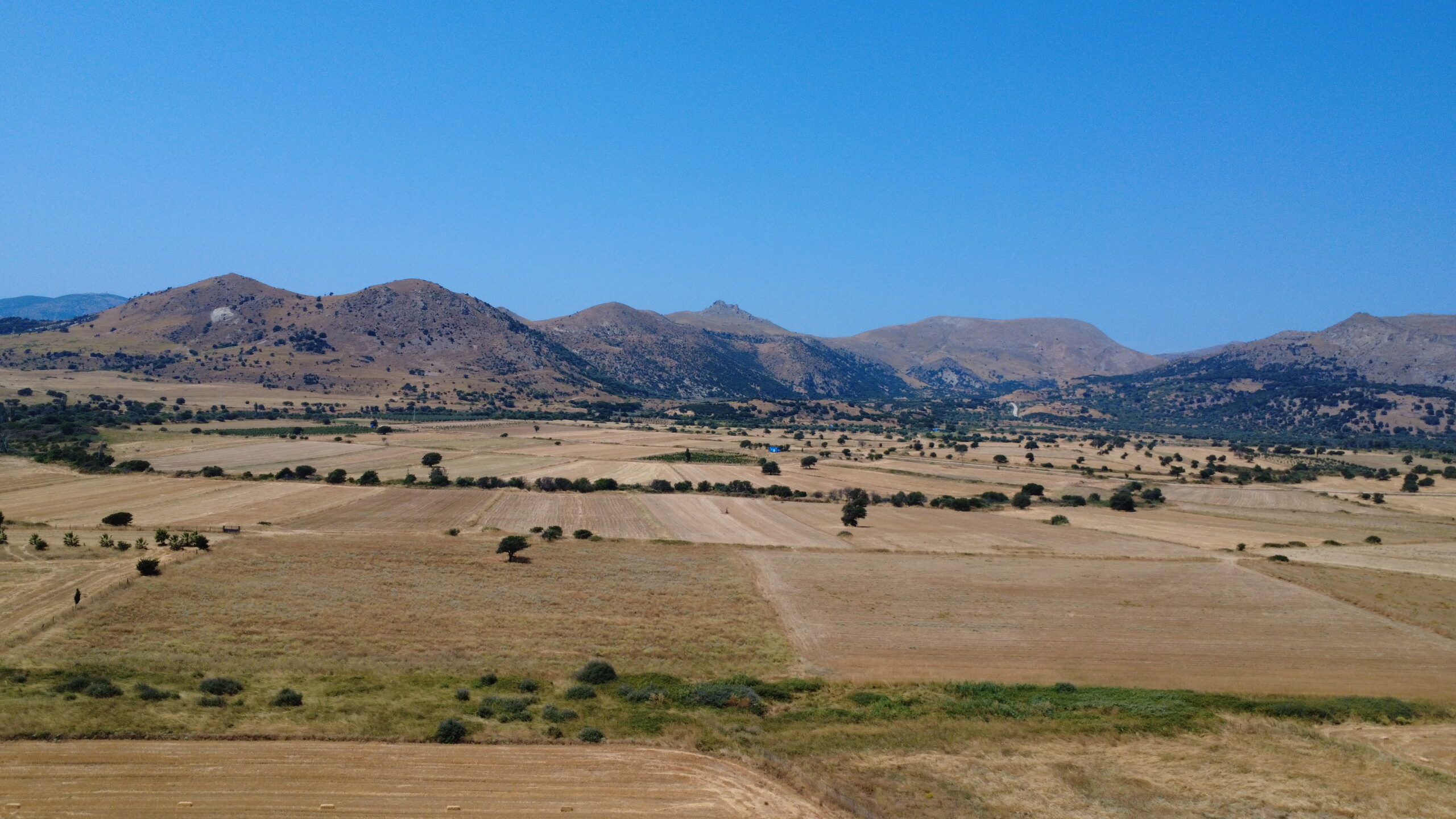 DCIM100MEDIADJI_0102.JPG